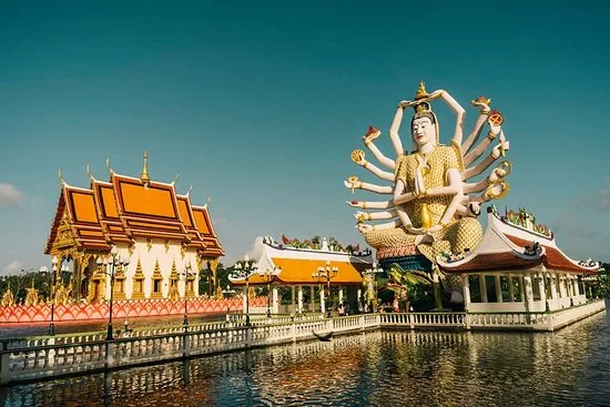 Jungle Safari Tour Ticket