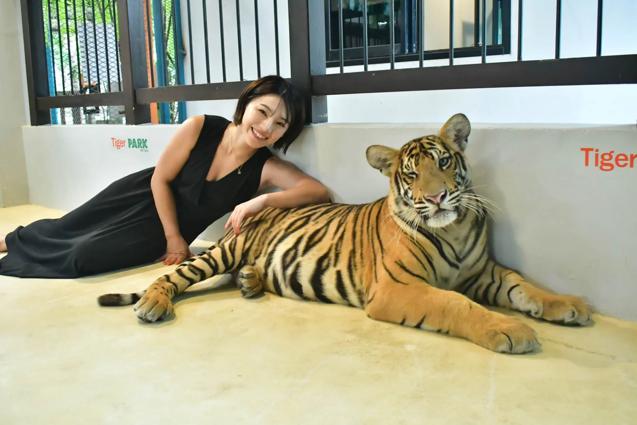 Tiger Park In Pattaya
