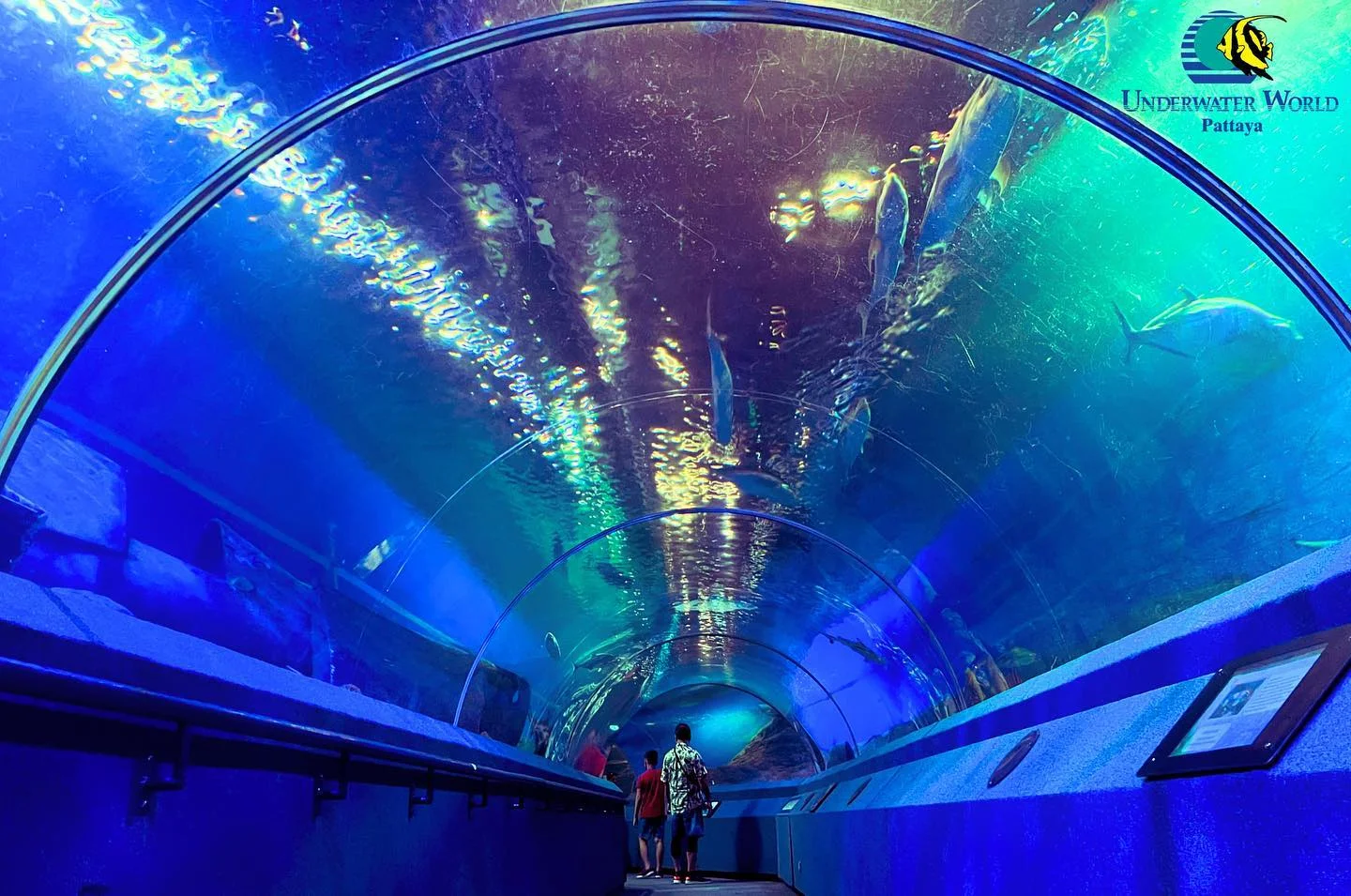 Pattaya Underwater World Aquarium