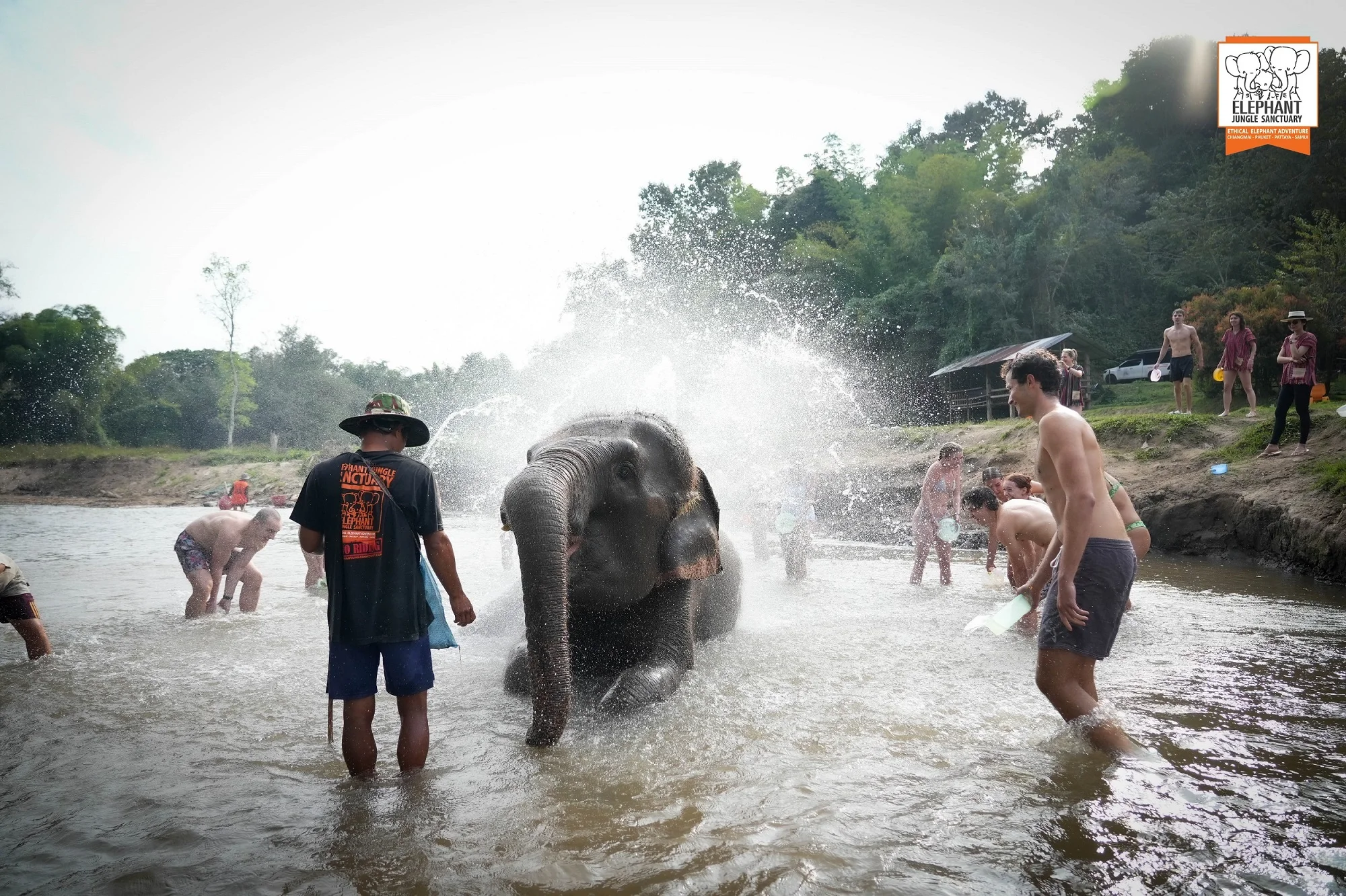 Elephant Jungle Sanctuary in Chiang Mai