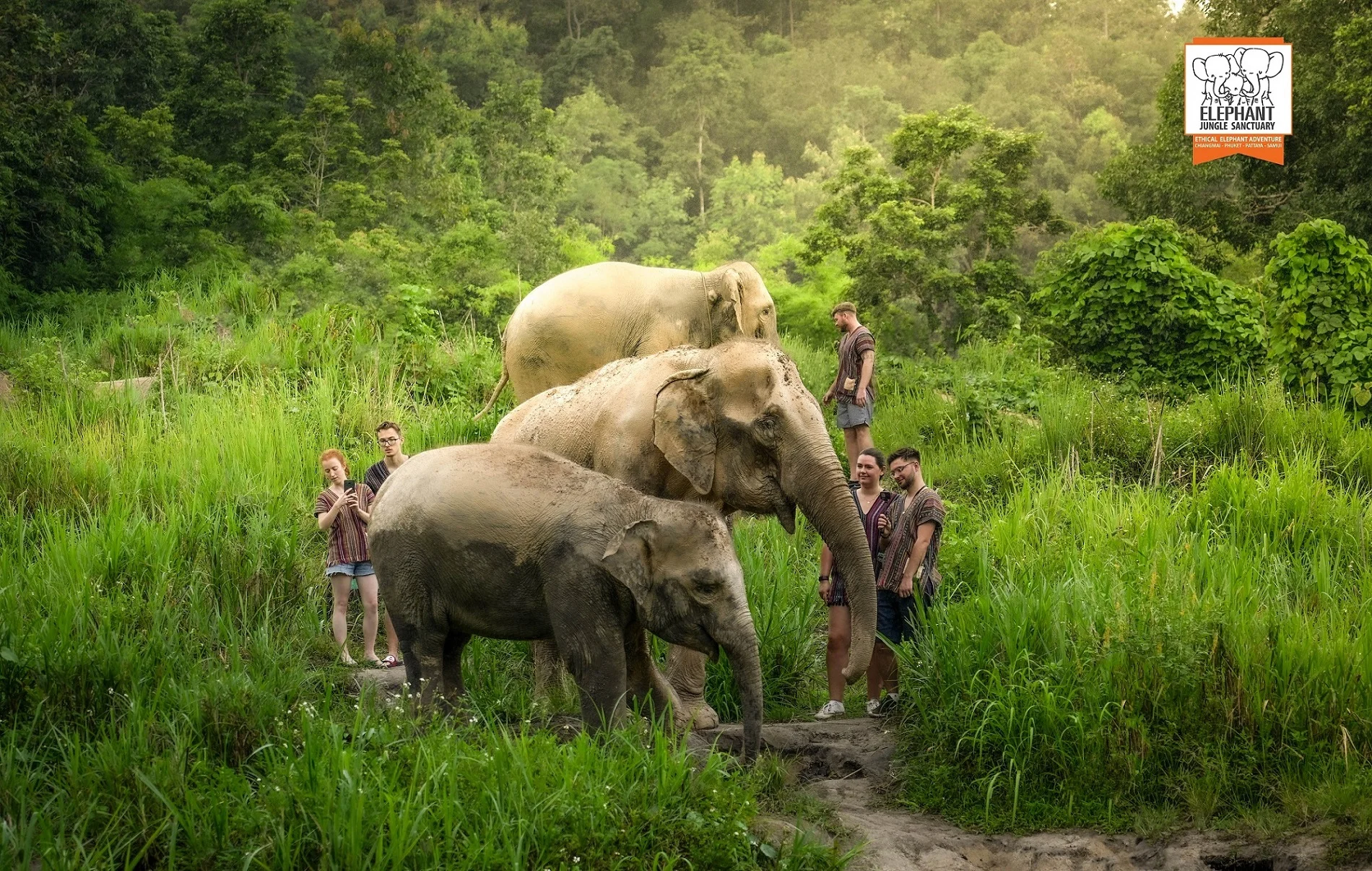 Chiang Mai Elephant Jungle Sanctuary