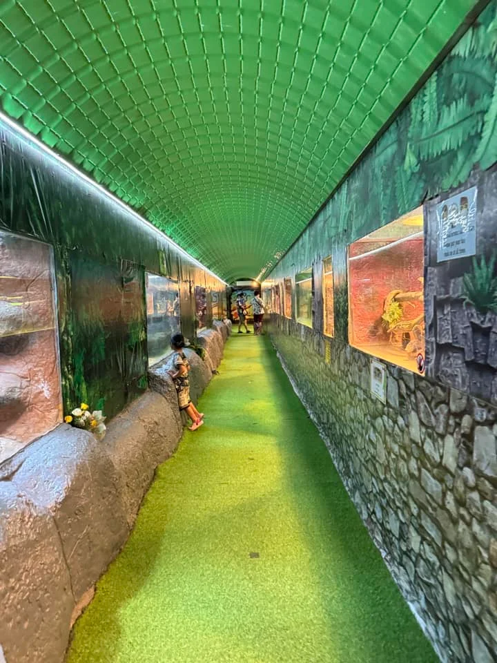 Monsters Water Aquarium Pattaya