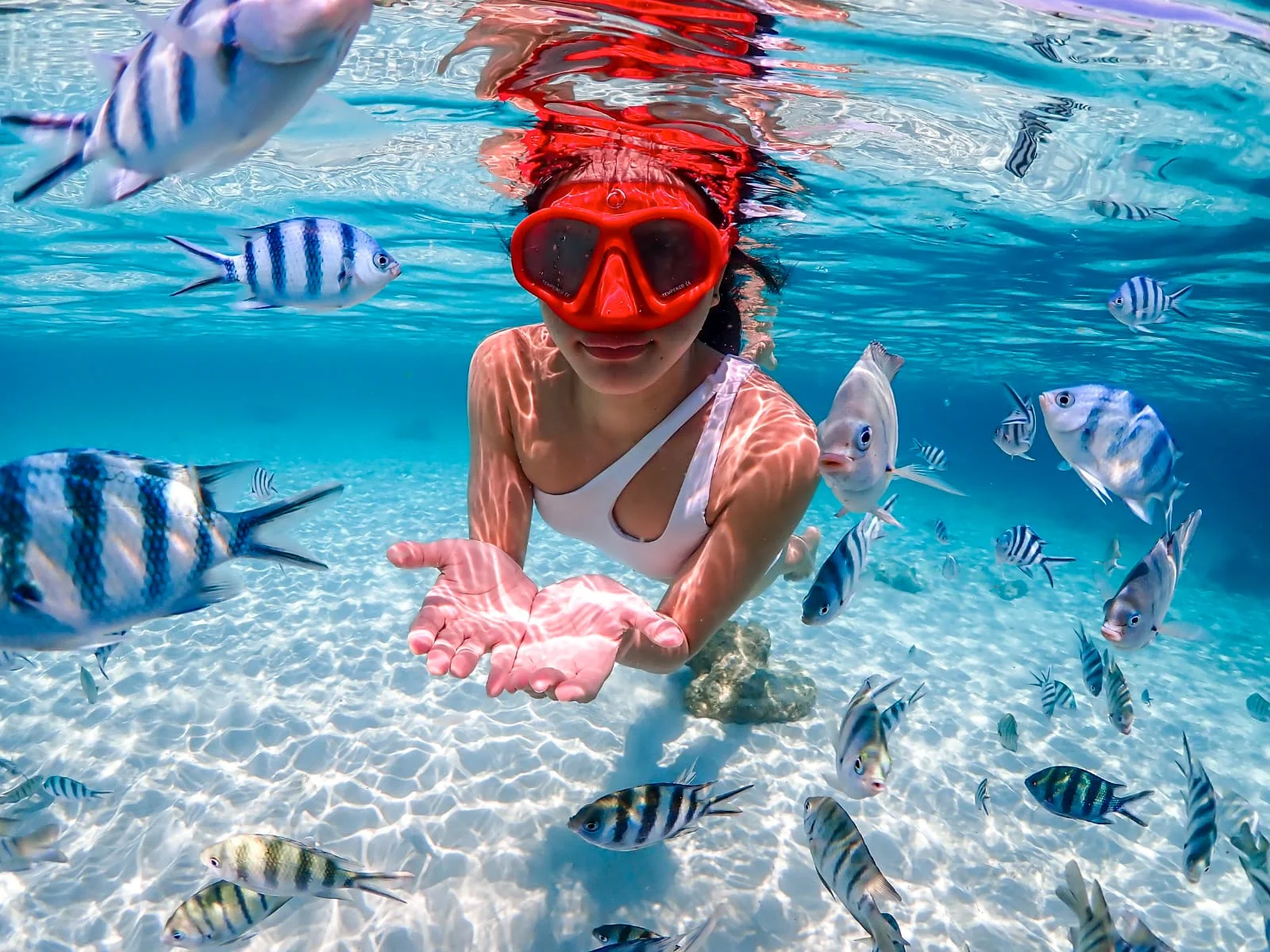 Nemo Snorkeling Tour By Private Speedboat