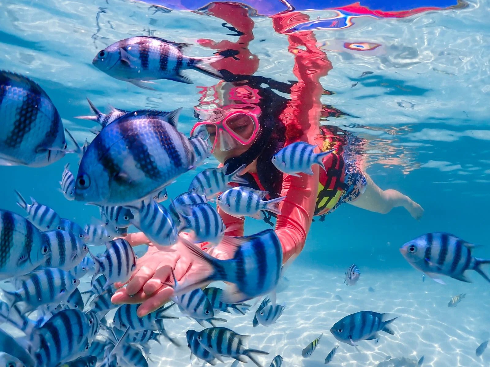 Nemo Snorkeling Tour By Speedboat
