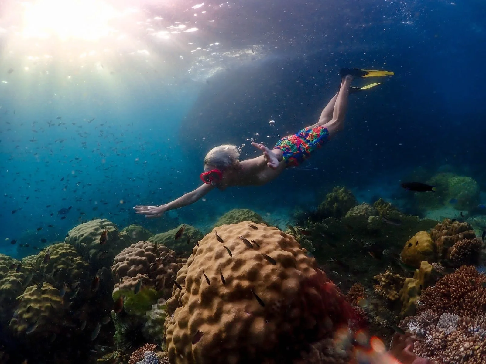 Nemo Snorkeling Tour In Pattaya