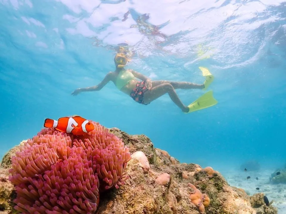 Pattaya Best Snorkeling Tour By Private Speedboat