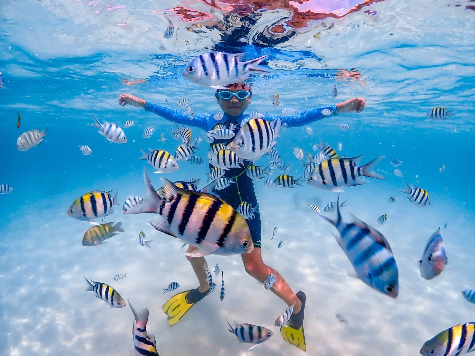 Nemo Snorkeling Tour