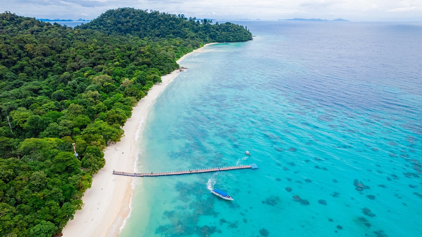 Koh Rok and Koh Haa One-Day Trip From Krabi